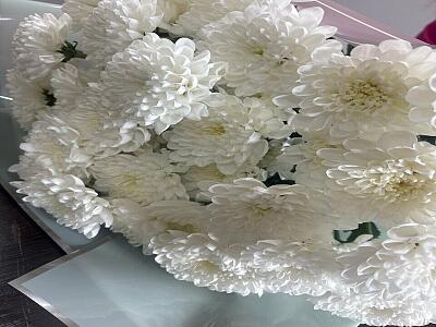 Фото из отзыва покупателя Юлия Хлыновская